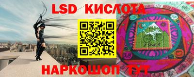 гидра Новозыбков