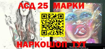 гидра Новозыбков