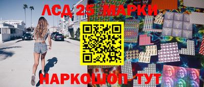 гидра Новозыбков