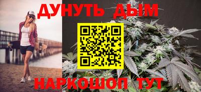 гидра Новозыбков