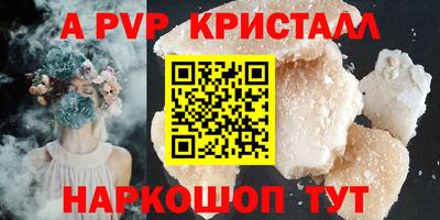 гидра Новозыбков